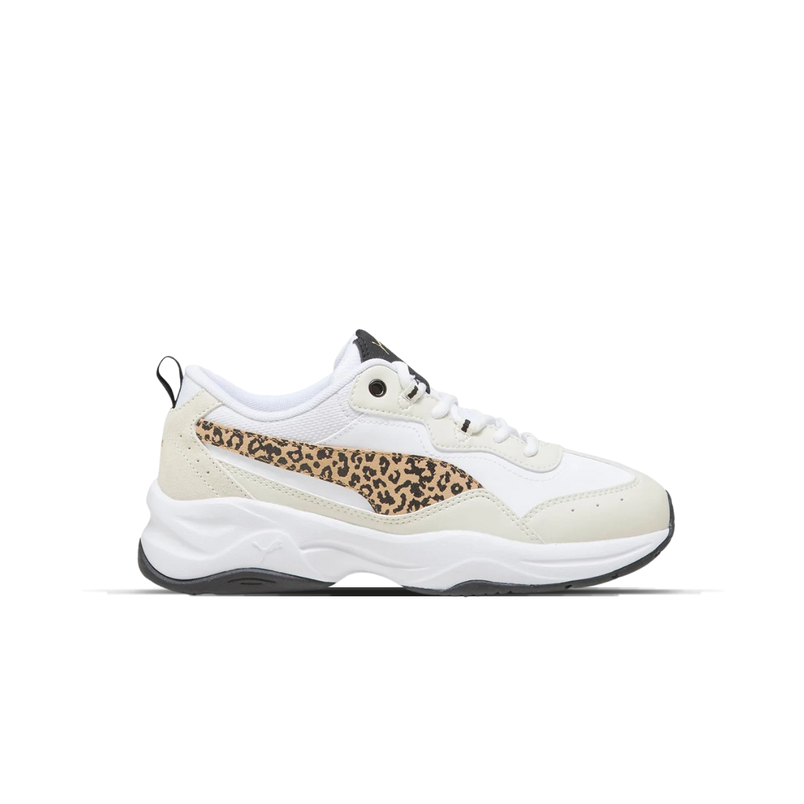 PUMA CILIA ANIMAL