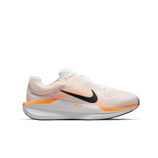 NIKE AIR WINFLO 11