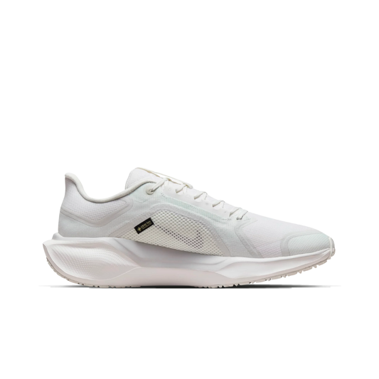 NIKE PEGASUS 41 GORE-TEX